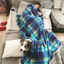 Do Dogs Think We Re Their Parents