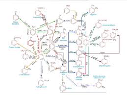 Organic Chemistry Interconversion Chart Designing An