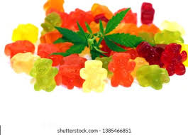 cbd gummy bear recipe