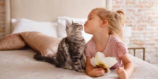 Konut paket sigortası i̇çin gerekli bilgiler. Zorunlu Deprem Sigortasi Icin Gerekli Belgeler Neler Mapfre Blog