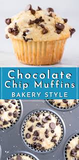 Chocolate Chip Muffins Chocolate Chip Muffins Chocolate Chip Muffin Recipe Easy Chocolate Chip Muffin Recipe