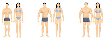 Check spelling or type a new query. What Is My Body Type And Can I Train For It Openfit