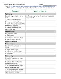 Stories From The Fossil Record Analysis Questions