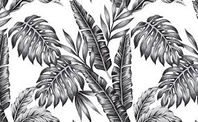 One answer, using a play on the homophonic words to change the word red to mean read, is a newspaper. Black And White Tropical Wallpapers Top Free Black And White Tropical Backgrounds Wallpaperaccess