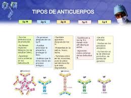 Utilidad De Medir Anticuerpos Contra Infecciones