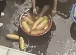 족발의 쫄깃함은 진짜 너무 맛있죠! Yv6d5 Tyaq 95m