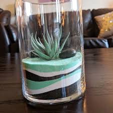 Maceta Decoracion Con Plantas Cactus Succulent Terrarium Sand Art Bottles Succulent Gardening