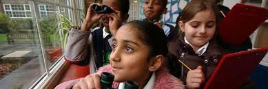 Sustainable Schools Newsletter