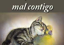 Imagenes Para Pedir Perdon Frases De Disculpas