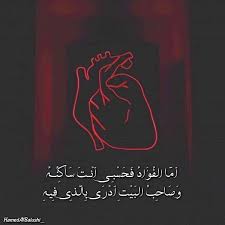 صاحب البيت neon signs neon signs