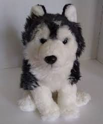 Black And White Siberian Husky With Blue Eyes Siberian Husky Dog Plush Stuffed Toy 10 Black White Blue Eye Books A Million Booksamillion Siberian Husky Dog Siberian Husky Baby Stuffed Animals
