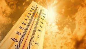 جافة بعض الشيء بالنسبة للبعض; Ø¯Ø±Ø¬Ø§Øª Ø§Ù„Ø­Ø±Ø§Ø±Ø© Ø§Ù„Ø³Ù†ÙŠÙ†Ø© ØªØ³Ø¬Ù„ Ø£Ø¹Ù„Ù‰ Ø¯Ø±Ø¬Ø© Ø­Ø±Ø§Ø±Ø© ÙˆØ¶Ù„ÙƒÙˆØª Ø§Ù„Ø£Ø¯Ù†Ø¦ Ø§Ù„Ø´Ø¨ÙŠØ¨Ø© Ø¢Ø®Ø± Ø£Ø®Ø¨Ø§Ø± Ø³Ù„Ø·Ù†Ø© Ø¹Ù…Ø§Ù† Ø§Ù„Ù…Ø­Ù„ÙŠØ© ÙˆØ£Ø®Ø¨Ø§Ø± Ø§Ù„Ø¹Ø§Ù„Ù…