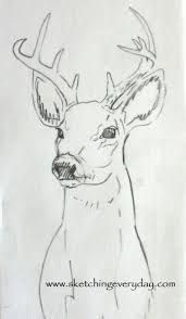 Dp Maternity Blue Under Bump Short Animal Drawings Sketches Animal Drawings Deer Drawing