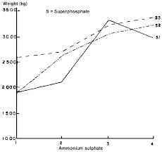 Image result for Megaloprotachne albescens