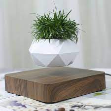 Floating Geometric Magnetic Levitating Flower Pot Bonsai Etsy In 2021 Floating Plants Floating Flowers Flower Pots