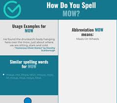 Correct Spelling For Mow Infographic Spellchecker Net