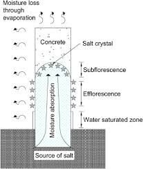 Acis was established as an engineering services contractor since 2008. Deterioration Of Marine Concrete Exposed To Wetting Drying Action Sciencedirect