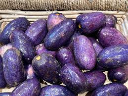 Image result for Pachylobus edulis