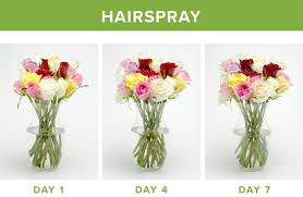 How to preserve cut flowers forever. How To Make Flowers Last Longer 9 Tricks Proflowers