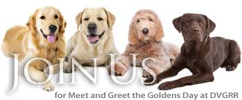 Golden's are often used as service dogs. Adoption Application Form Delaware Valley Golden Retriever Rescue