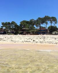 Epingle Sur Le Bassin Cote Arcachon