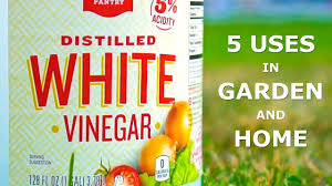 Discover more home ideas at the home depot. 5 Uses Of Vinegar In Garden And Home Youtube