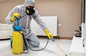 Fungus Pest Control Services at ₹ 800/square feet in Chennai | ID:  6186863991
