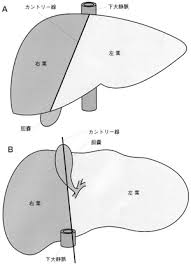千臨技会誌 2012 No 2 通巻115 千葉臨床検査技師会