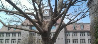 The site owner hides the web page description. æœé™½ç§'æŠ€å¤§å­¸