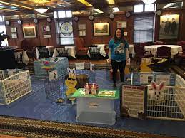 Newport vineyards offers a full selection of wine for sale by the glass while visiting. Squeals On Wheels Traveling Petting Zoo