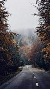 اجمل صور خلفيات ايفون 2019 iphone wallpaper nature photography landscape autumn aesthetic