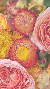 Check spelling or type a new query. Free Floral Phone Wallpapers Summer Collection Photo Backdrops From Capture By Lucy