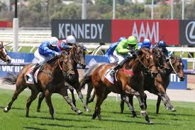 One of the biggest and most enjoyable events on the australian sporting thinking about experiencing the melbourne cup carnival in 2021? Adelaide Cup Nominations 2021