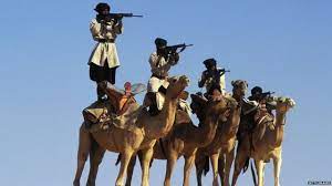 Nowadays living abroad has become really popular. Camels Gift From Eu Bewilders Mauritanians Bbc News