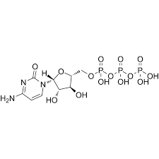 Image result for Cytarabine