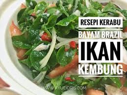 Pada artikel ini akan membahas tentang cara membuat martabak mie simple dan gurih. Resepi Kerabu Bayam Brazil Simple Dan Sedap Ayue Idris