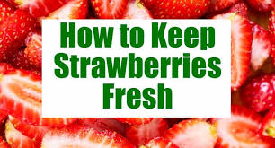 How to make strawberries last longer. How To Clean Strawberries Keep Them Fresh The Happier Homemaker