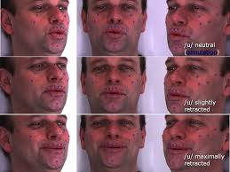 Observing Lip and Vertical Larynx Movements During Smiled Speech (and  Laughter)