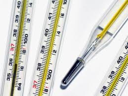 A rectal thermometer may be used. 98 6 Degrees Is A Normal Body Temperature Right Not Quite Wired