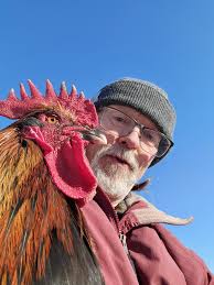Adorable black cat Bill, a 22-pound solid and healthy pet