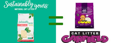 There are several easy cat litter substitutes you can create. Garfield Sustainably Yours Facebook