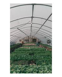 Troy Ali (@troy._.ali) • Instagram photos and videos