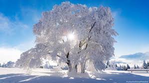 Image result for winter photos