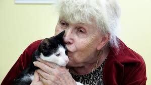 Founders bark at each other after IRS questions Paws 2 Help's spending