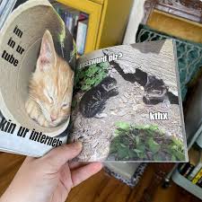 Image result for i can has cheezburger