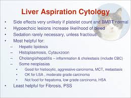18d 2h 14m 20s bids: Practical Internal Medicine Ppt Download