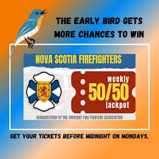 Looking for snow plow service for driveway