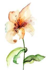 Pin On Simple Watercolor Flowers