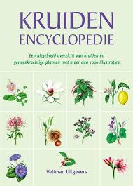 Sinds Onheuglijke Tijden Maken Mensen Al Gebruik Van De Geneeskrachtige Werking Van Planten Dit Indruk Geneeskrachtige Planten Kruiden Geneeskrachtige Kruiden