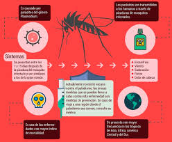O paludismo é uma doença provocada por um parasita que afecta o ser humano através das picadelas de certos mosquitos. Prevencion Y Control De Paludismo